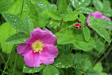 Similar image 21873244