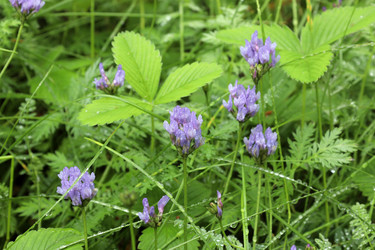 Similar image 21873245