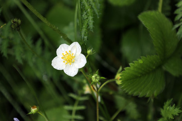 Similar image 21873246