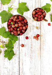 Similar image 21873279