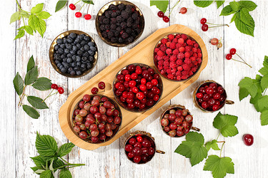 Similar image 21873304