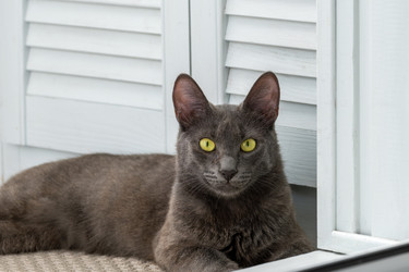 Similar image 21874139