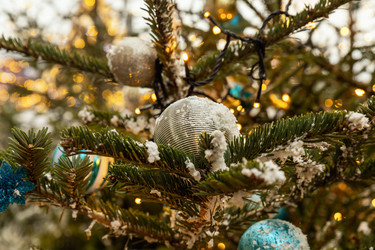 Similar image 21874145