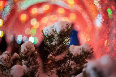 Similar image 21874146