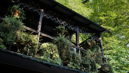 Similar image 21874152