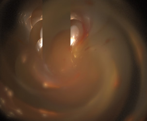 Similar image 21877335