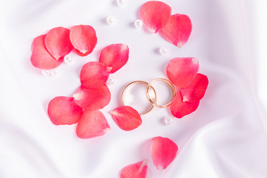 Similar image 21873603