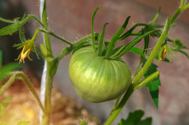 Similar image 21875401