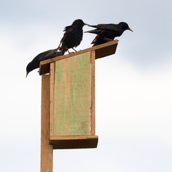 Similar image 21873672