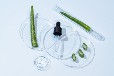 Similar image 21874250