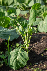 Similar image 21874166