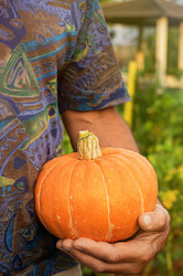 Similar image 21874167