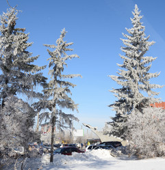 Similar image 21874332