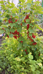 Similar image 21874336