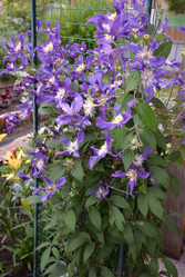 Similar image 21874337