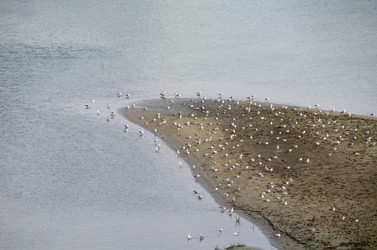 Similar image 21874350