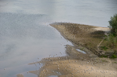 Similar image 21874351