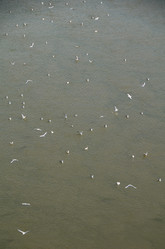 Similar image 21874354