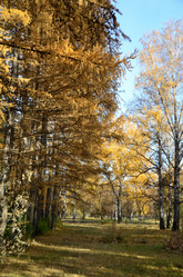 Similar image 21874360