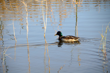 Similar image 21874361