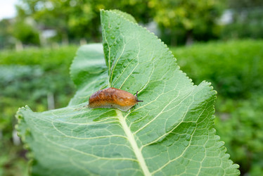 Similar image 21874181