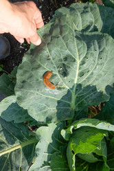 Similar image 21874182