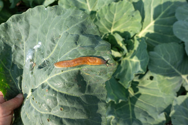 Similar image 21874183