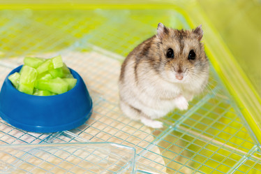 Similar image 21874184