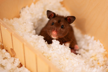 Similar image 21874185