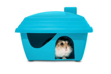 Similar image 21874186