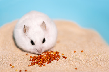 Similar image 21874187