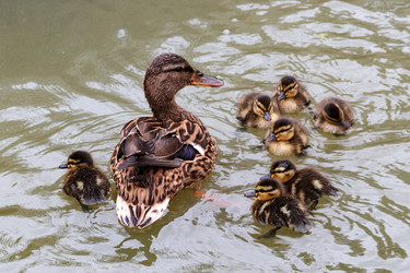 Similar image 21874710