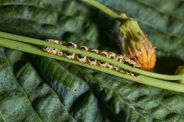 Similar image 21874256