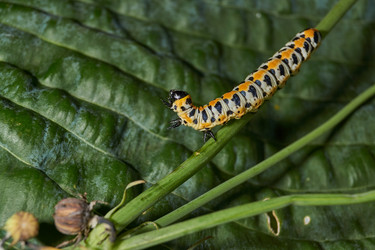 Similar image 21874257