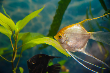 Similar image 21874896