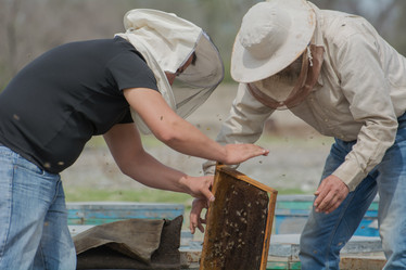 Similar image 21874904