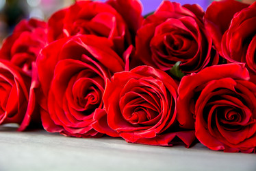 Similar image 21874905