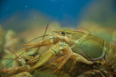 Similar image 21874906