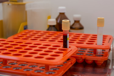 Similar image 21874908