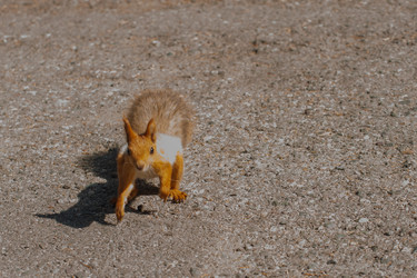 Similar image 21874912