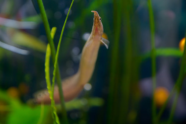 Similar image 21874913