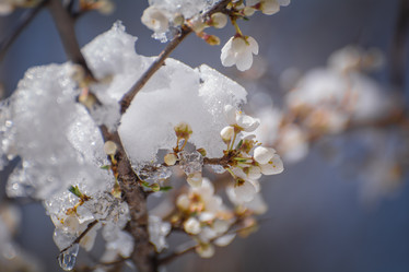 Similar image 21874920