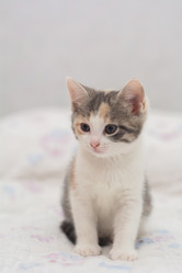 Similar image 21874932