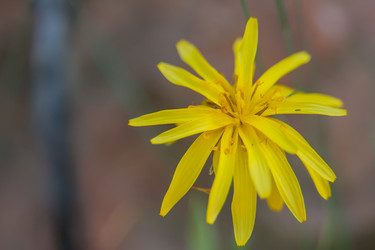 Similar image 21874934