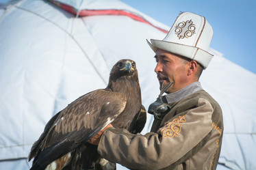 Similar image 21874935