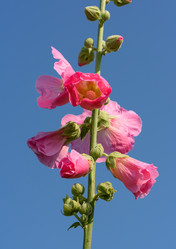 Similar image 21874367