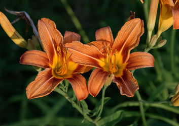 Similar image 21874368