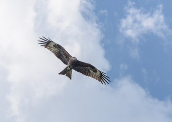 Similar image 21874371