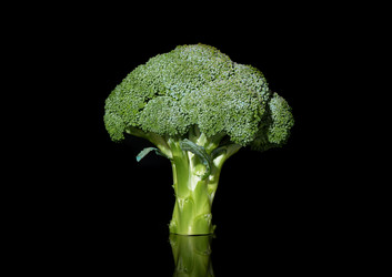 Similar image 21874374