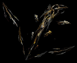 Similar image 21877211